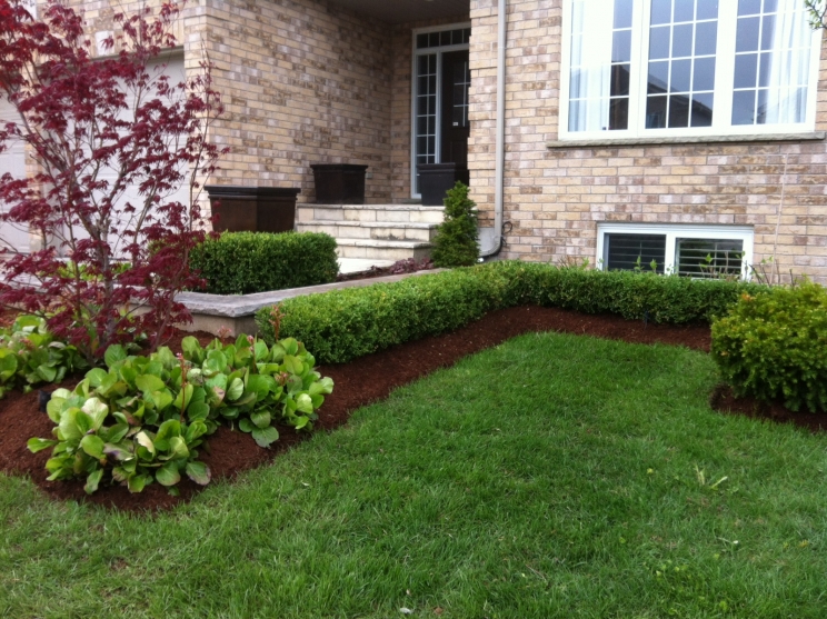 Work By Gaia's Gardens: Garden Maintenance